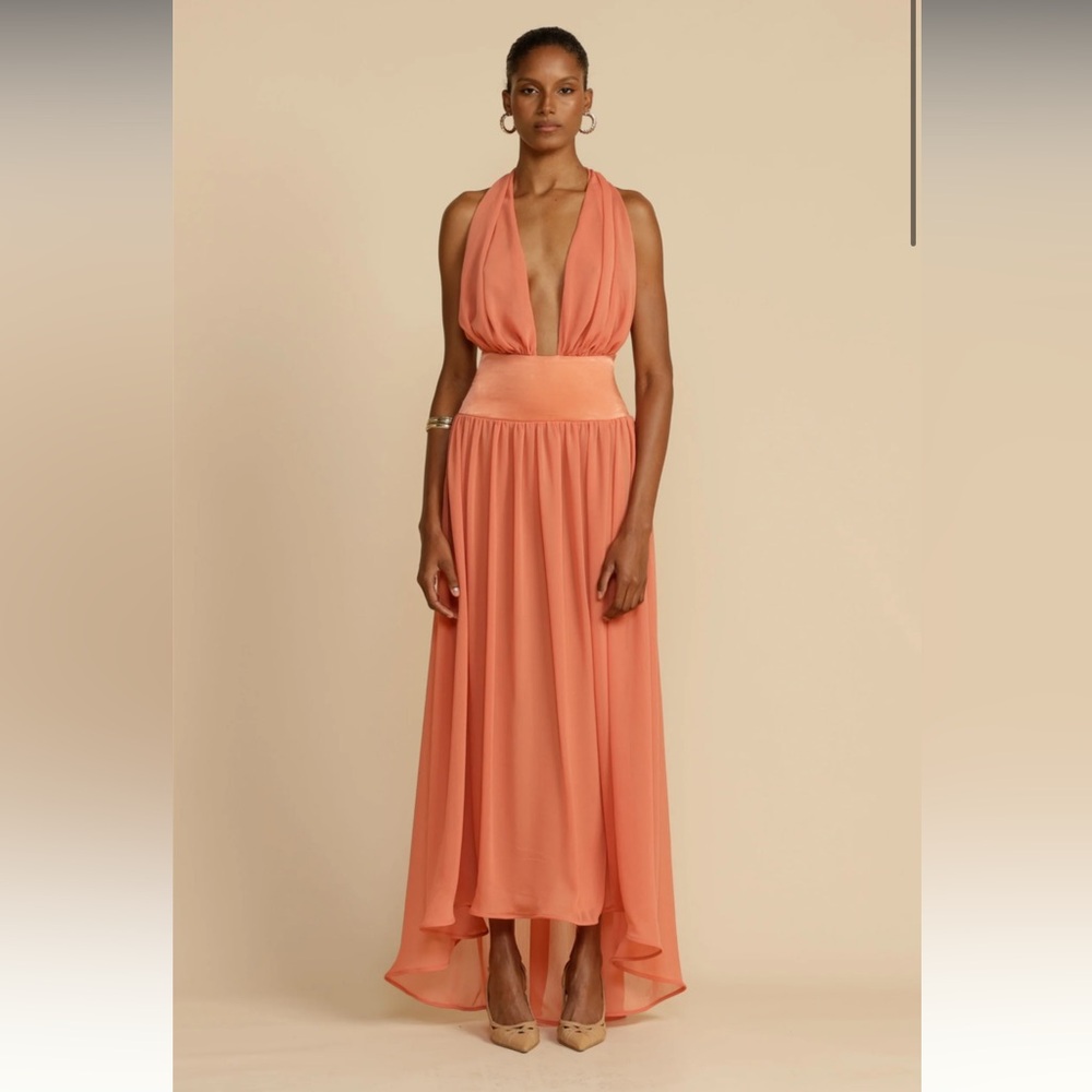 LIKE NEW - Arcina Ori Serena Dress